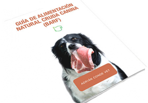 Guía de alimentación natural canina