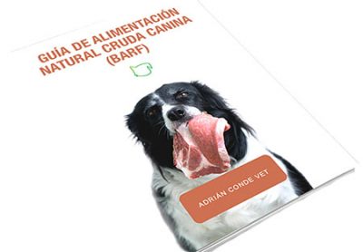 Guía de alimentación natural canina